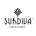 Surdiva logo black