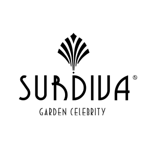 Surdiva logo black
