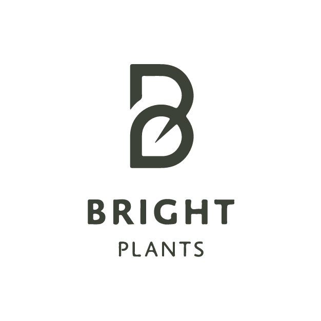 Bright Plants / J.A. van der burg ,
