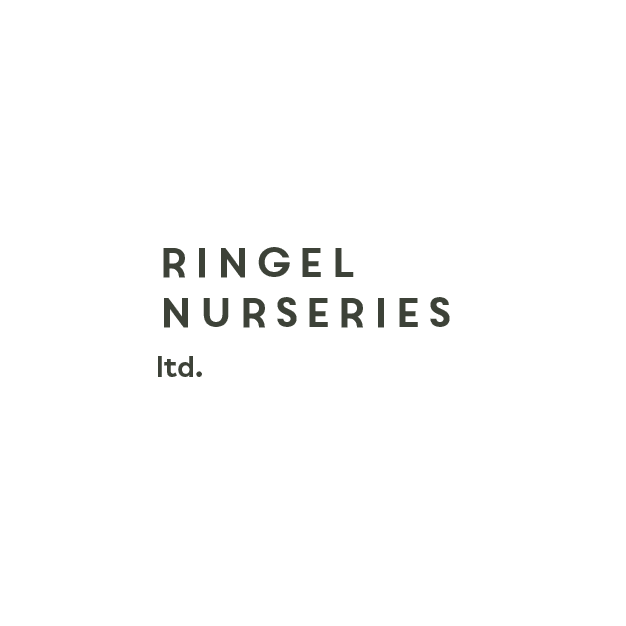 Ringel Nurseries ,