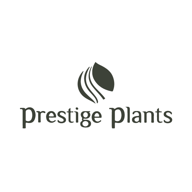 Prestige Plants Societa Agricola A.R.L. (finished plants) ,