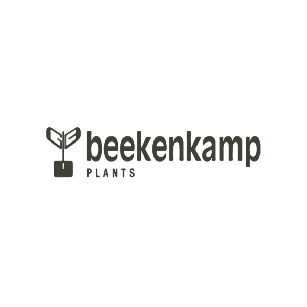 Beekenkamp Plants B.V.,