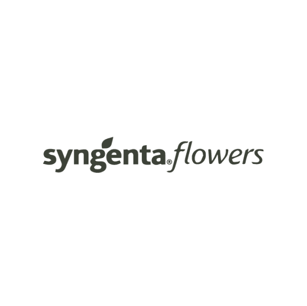 Syngenta Flowers ,