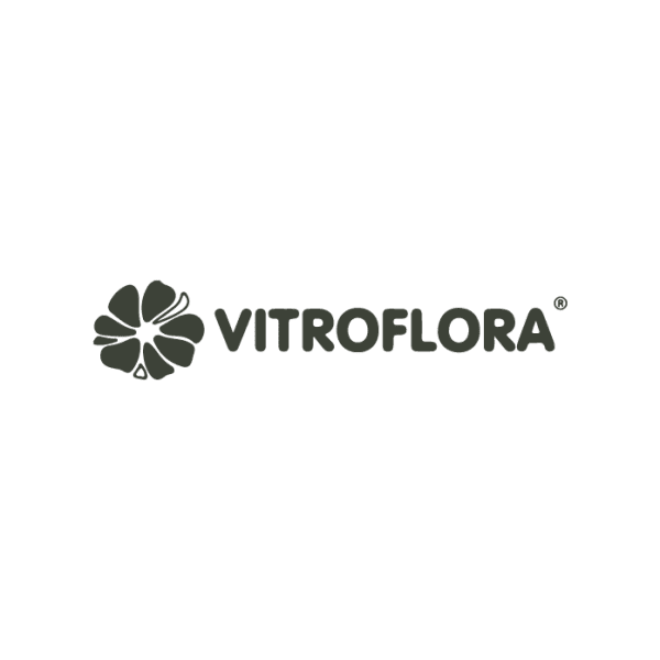 Vitroflora ,