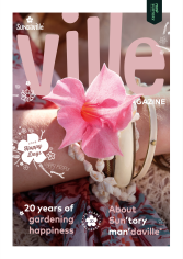 Sundaville® 20th anniversary Magazine