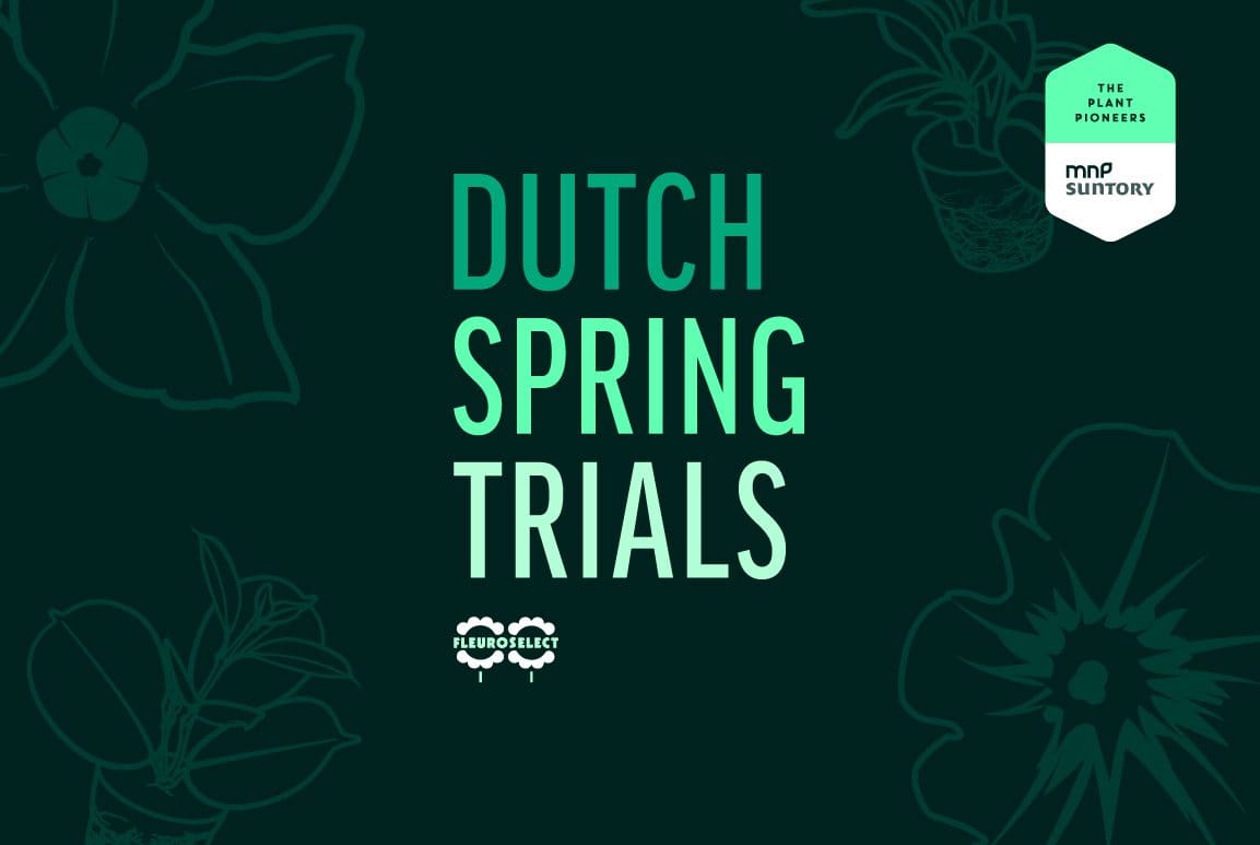 Dutch Spring Trials